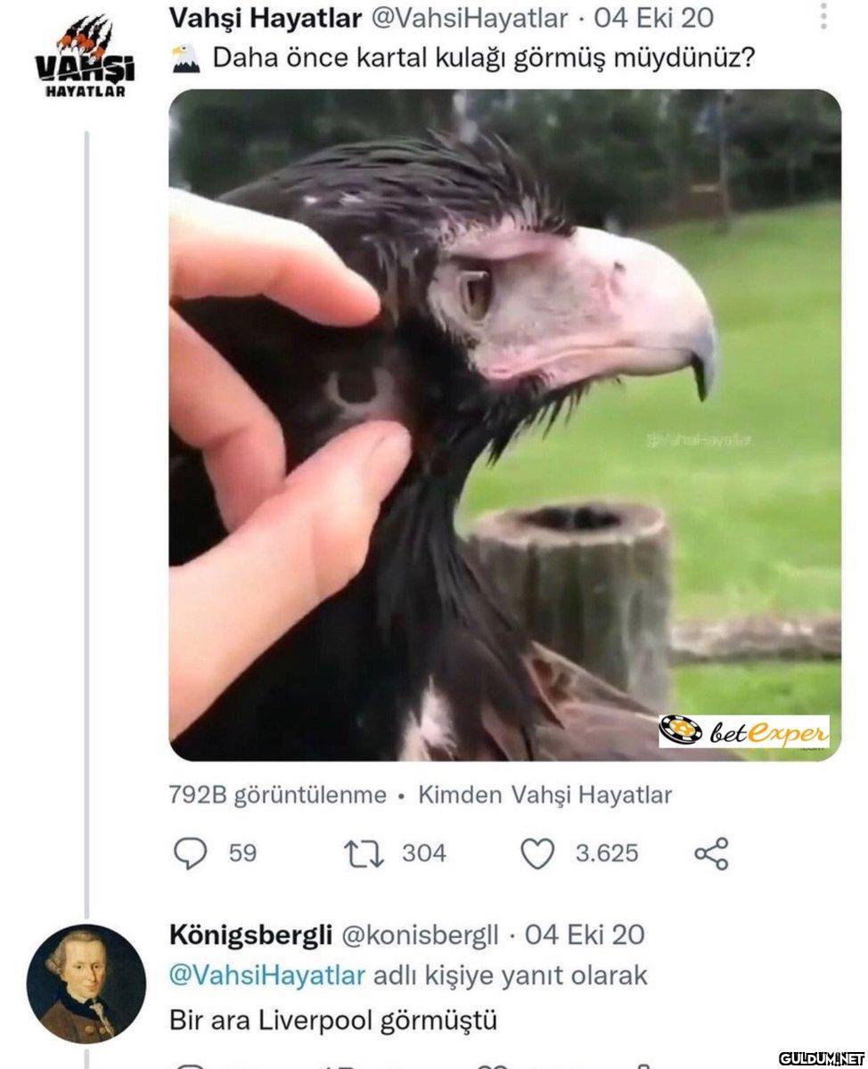 https://t.co/40pDdIKkye  ...