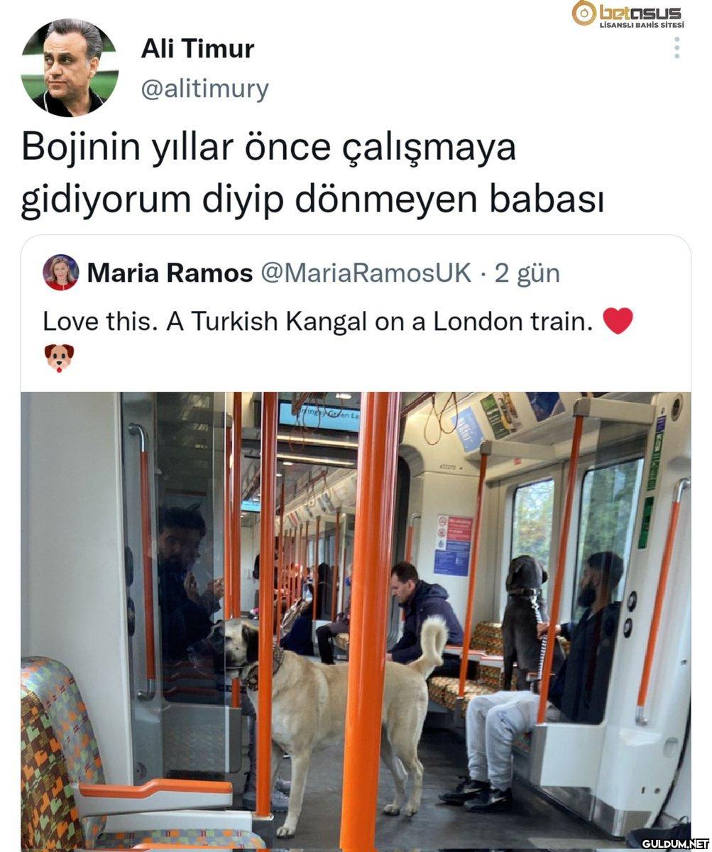 Ahahxjdnxjddn...