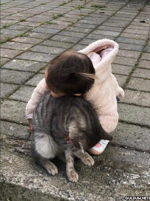 Sokakta kedi görmüşümdür...