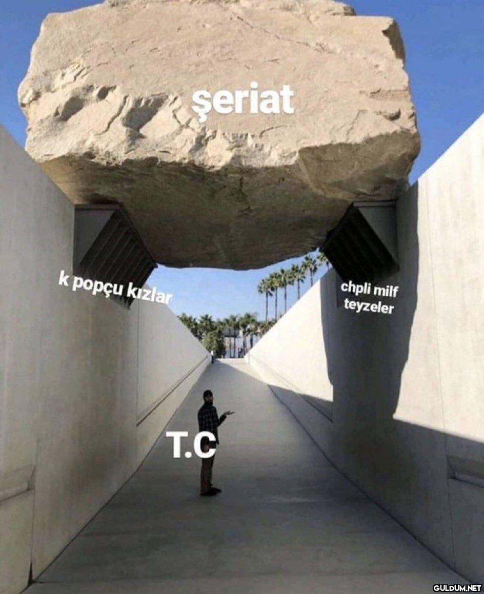 https://t.co/0T1PflKmMh  ...