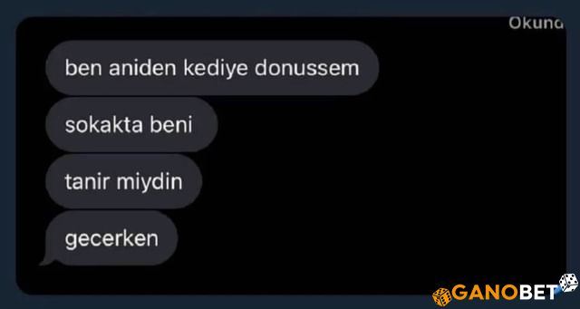 Manita terörü aaşsjdaldşa...