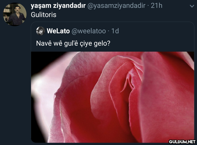 yaşam ziyandadır...