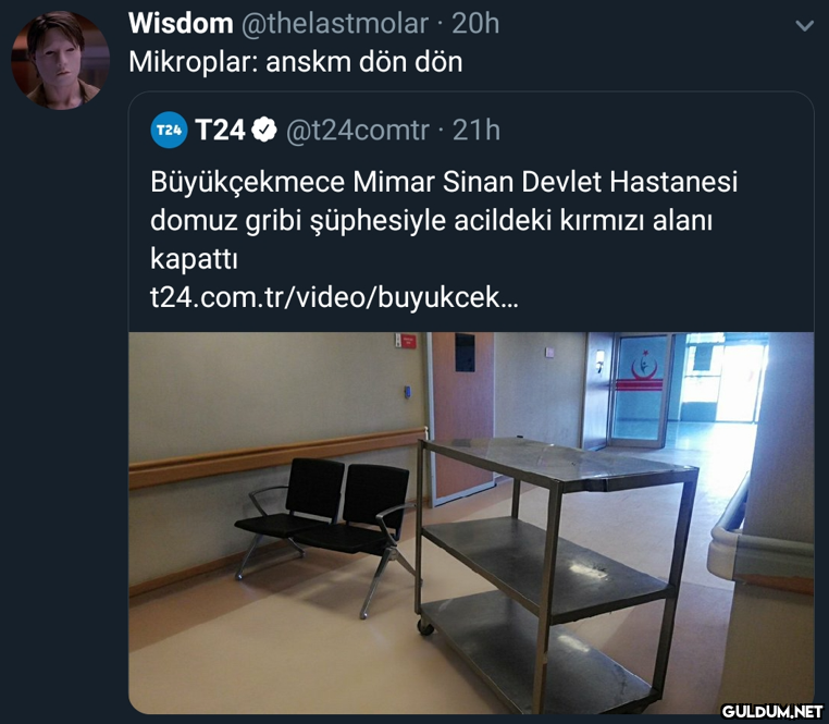 Wisdom @thelastmolar · 20h...