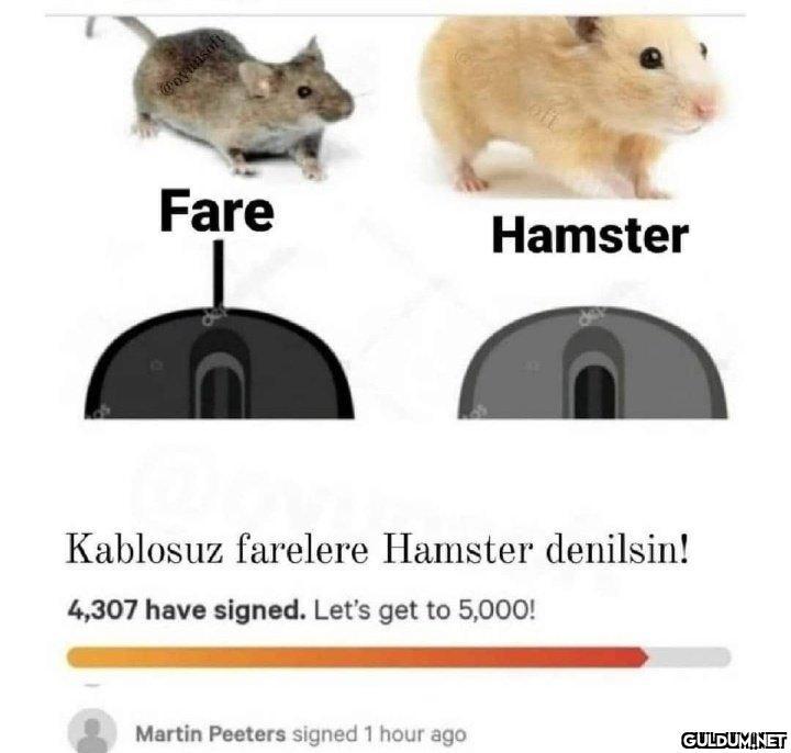 Erkeklerin işsizlik...