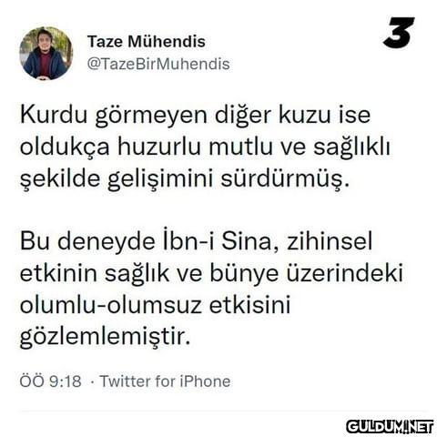 1 Taze Mühendis...