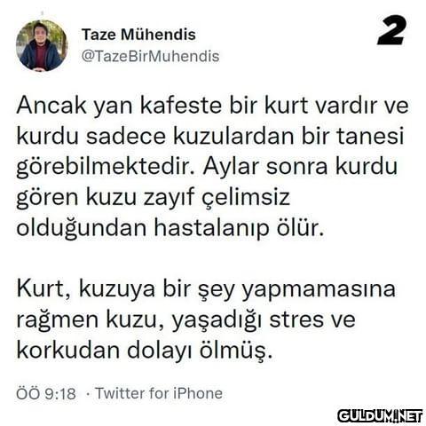 1 Taze Mühendis...