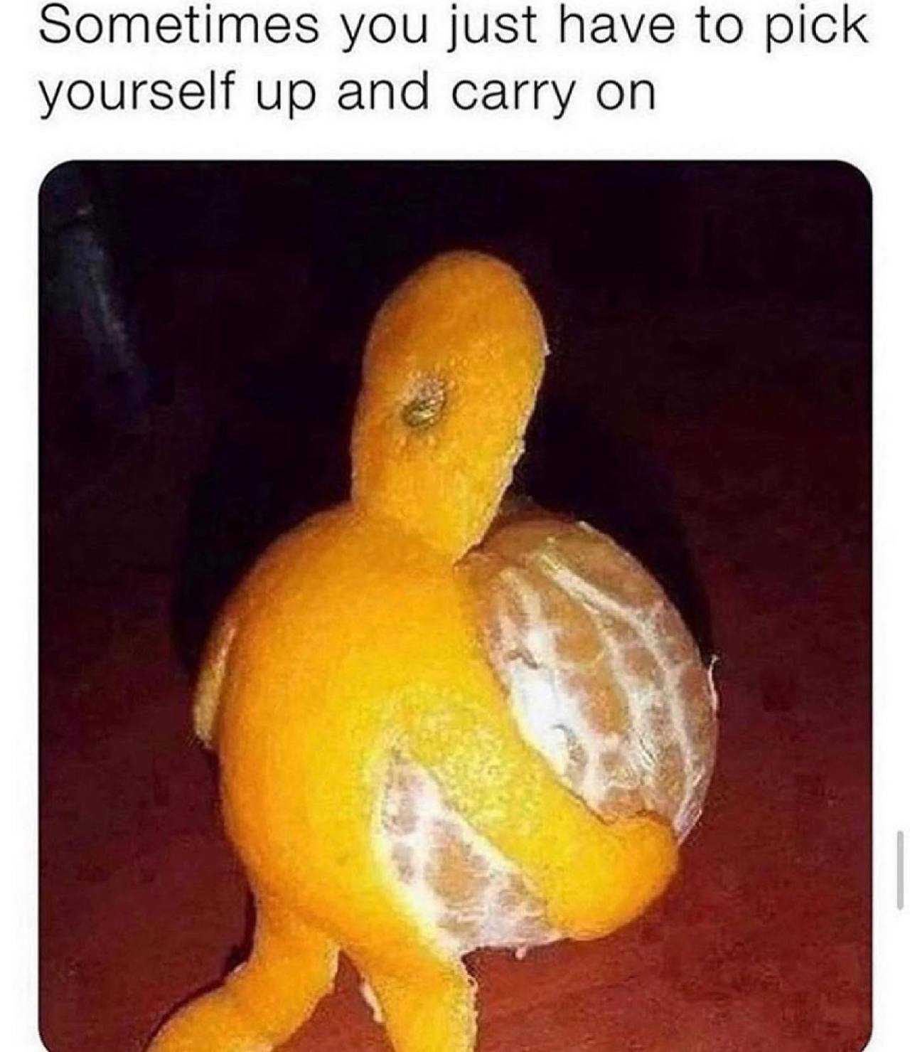 @happy.sisyphos 🍊  Kaynak