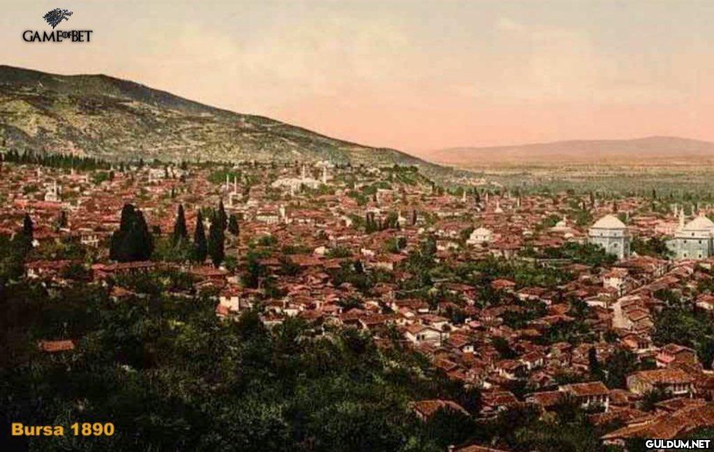 Yeşil Bursa  -  Beton...
