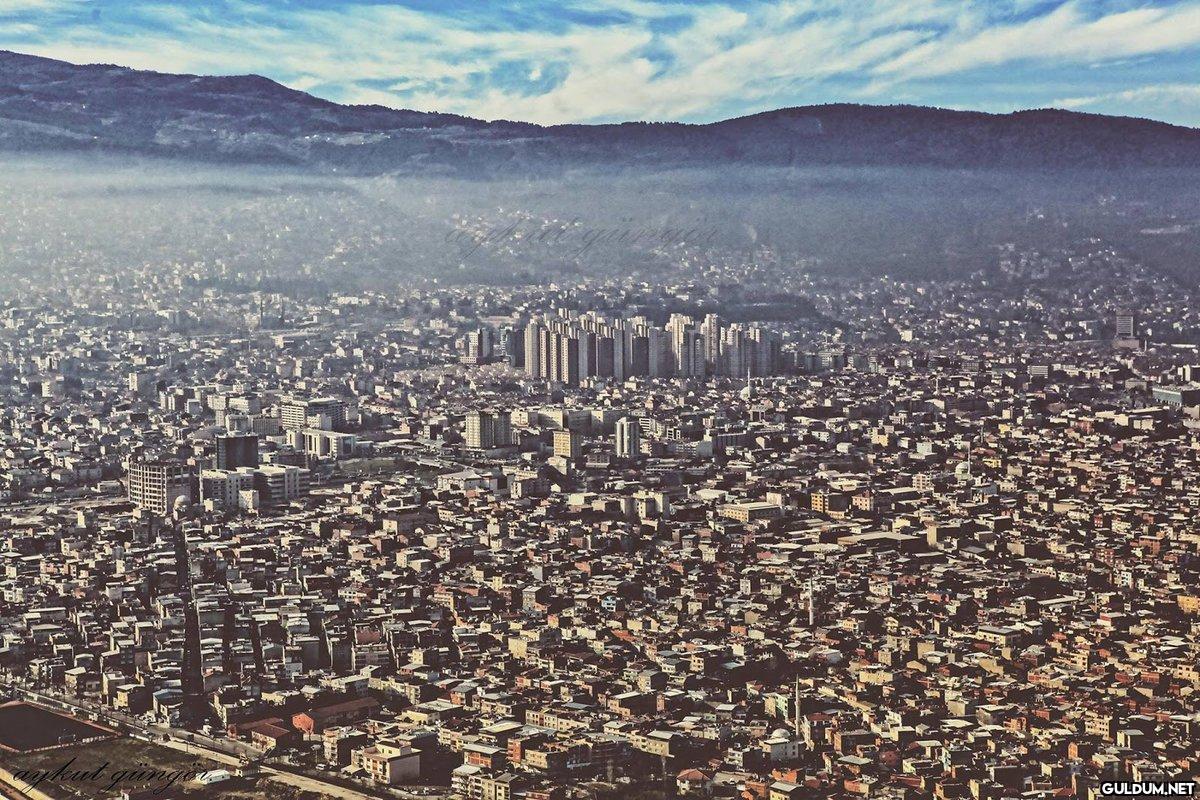 Yeşil Bursa  -  Beton...
