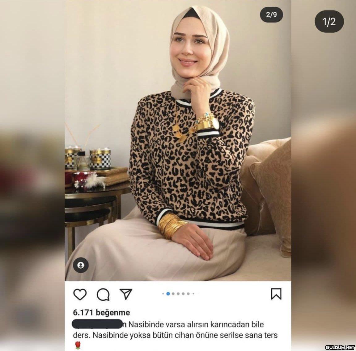 Karınca: abla rezil ettin...