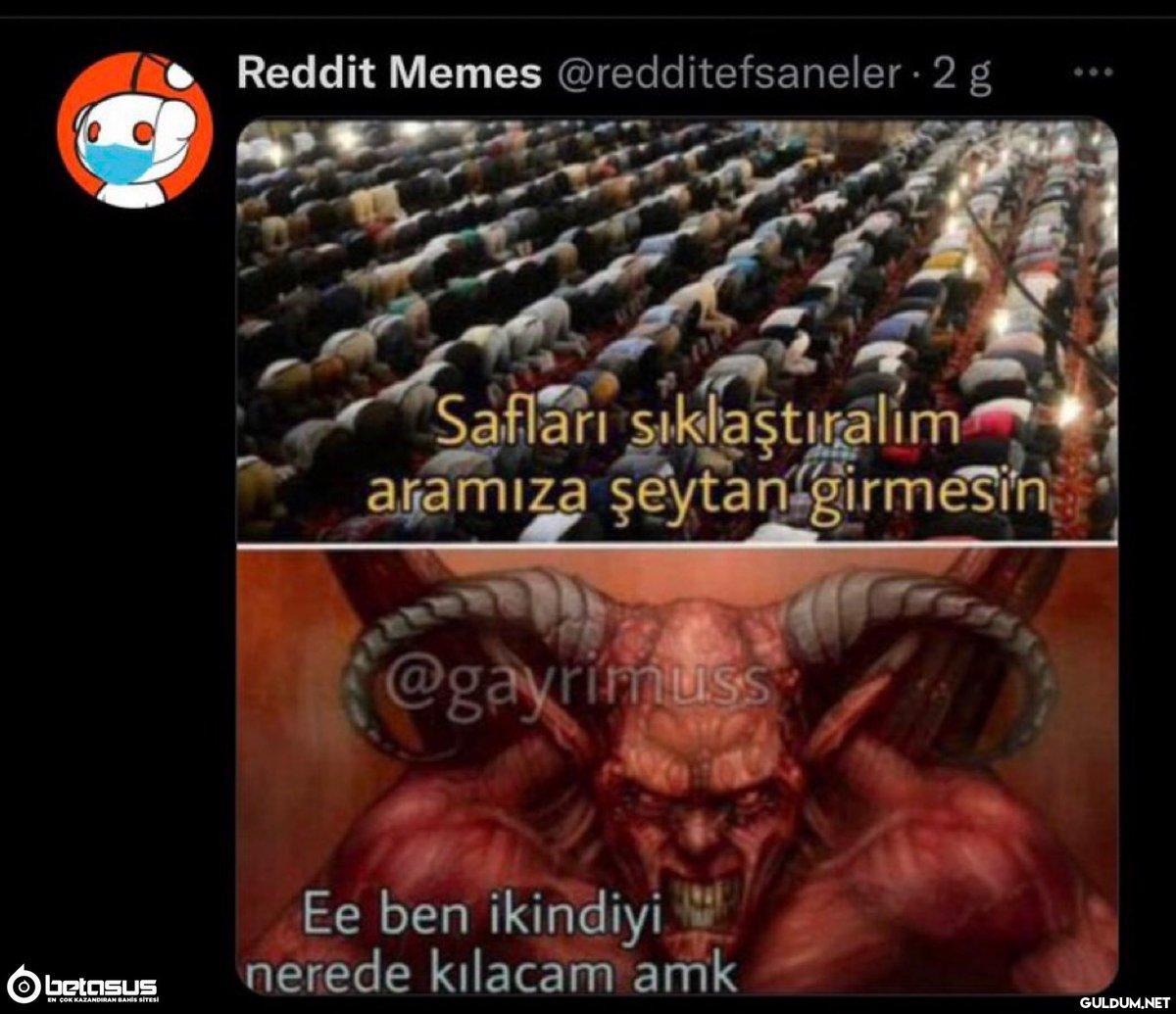 Reddit Memes...