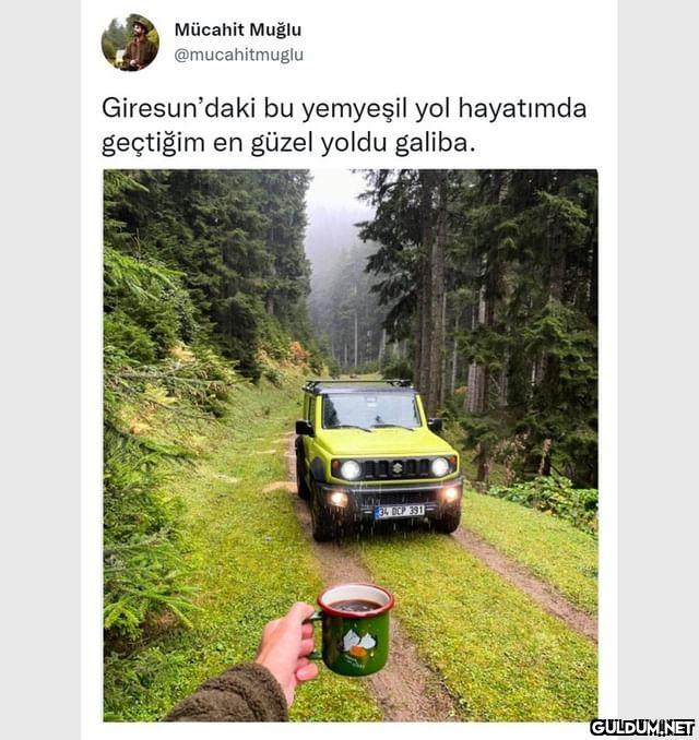 Mücahit Muğlu...