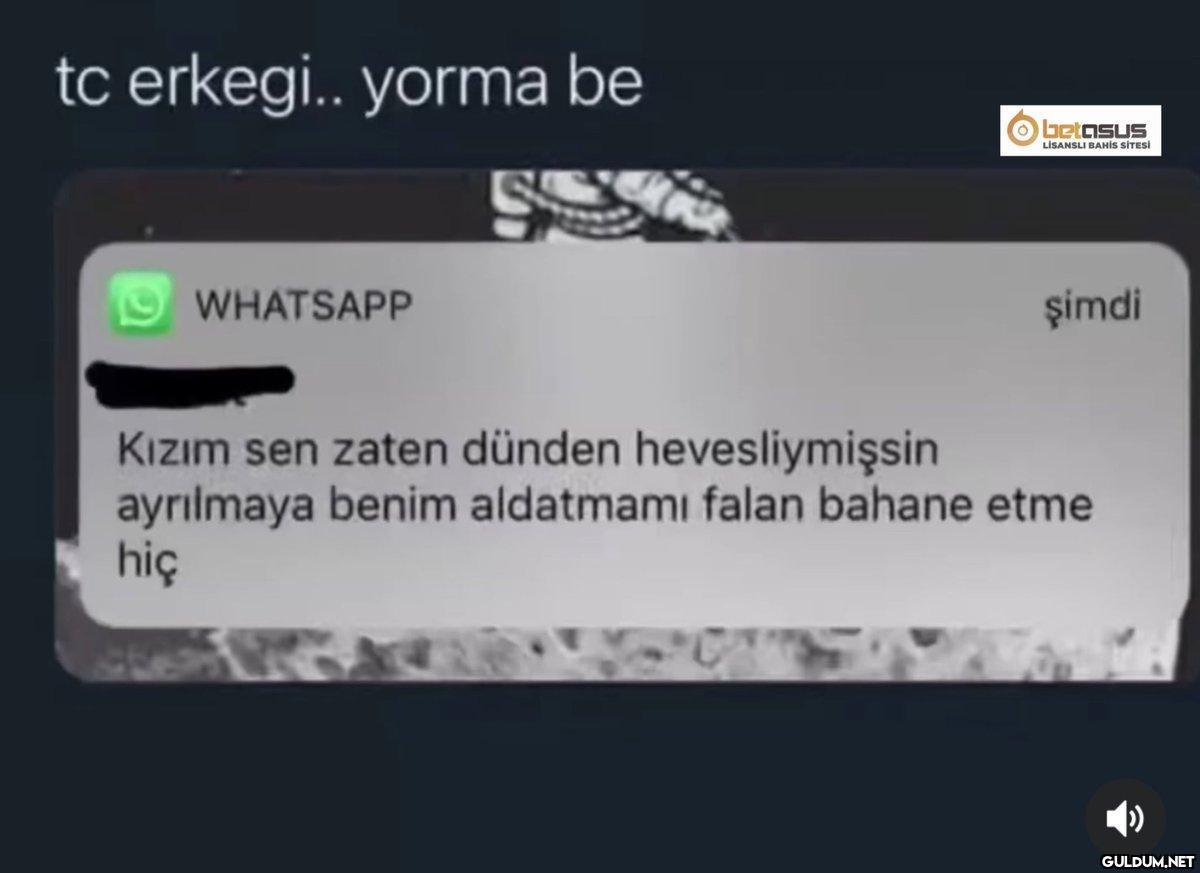 https://t.co/JiEXkG32iL  ...