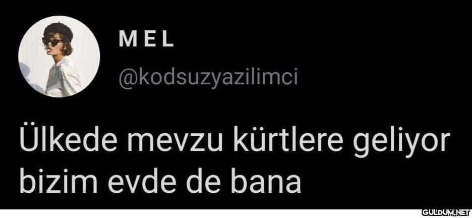Her evde vardır bir tane...