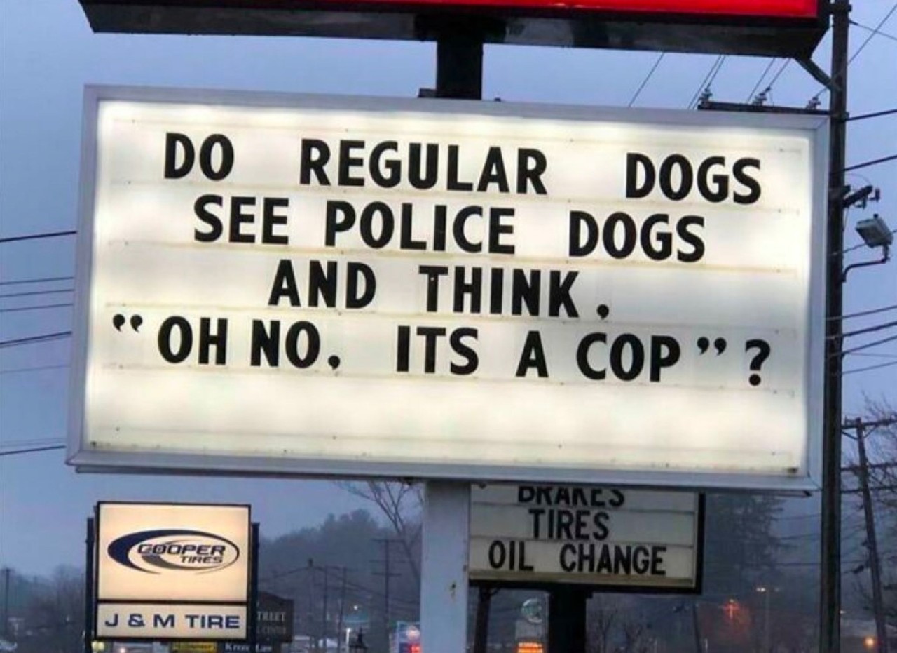 🤔 #dogs #pawlice #9gag  Kaynak