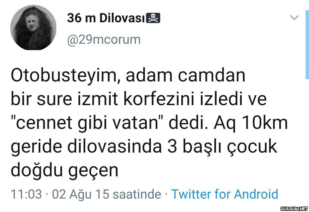 36 m Dilovası @29mcorum...