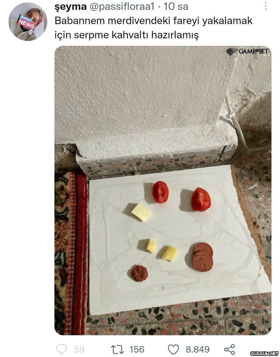 Benim kahvaltıdan daha...
