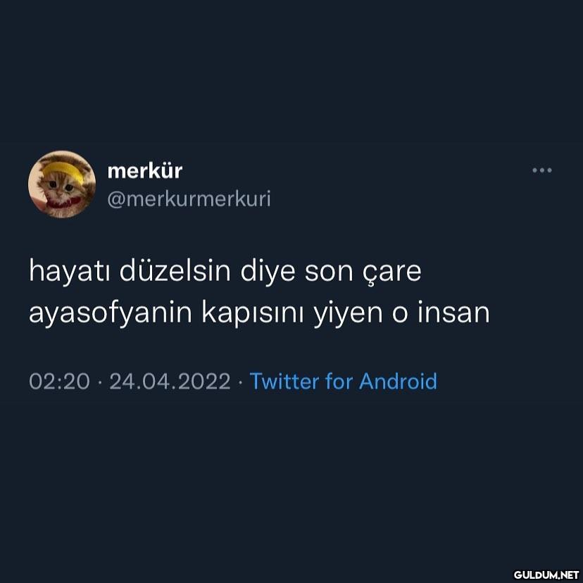böyle giderse ben de gidip...
