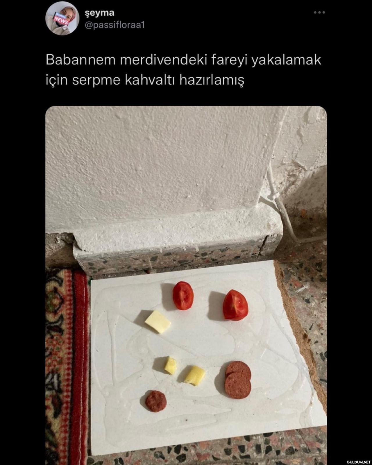 ülkenin  'sinden kaliteli...