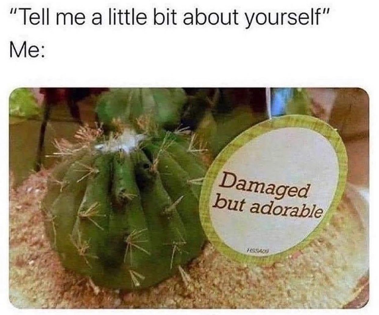 @whyfallinlove.lol 🌵  Kaynak