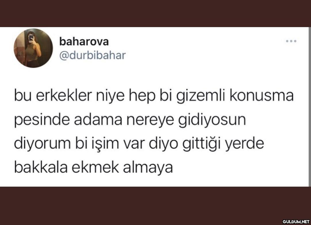 Bshzbzbsbxbx...