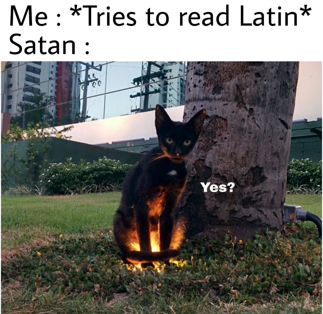. . . . #nichememes...