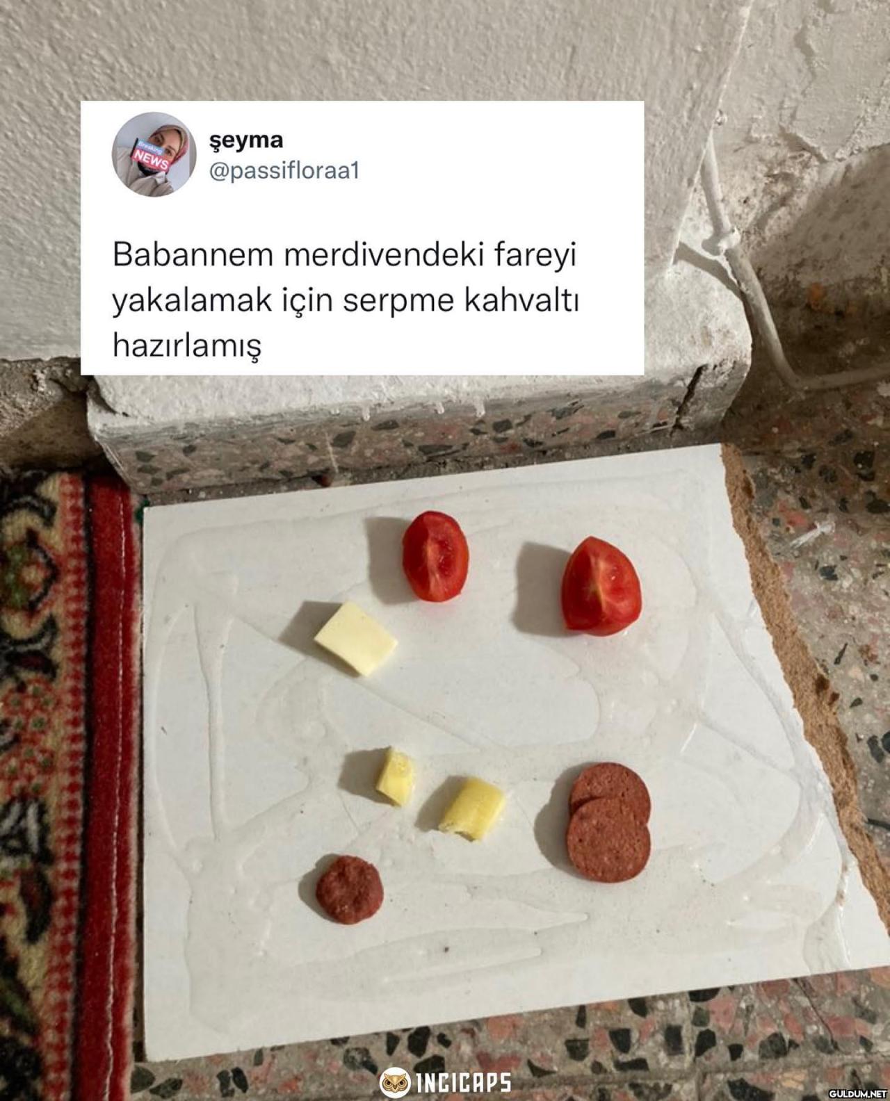 şeyma Breaking NEWS...