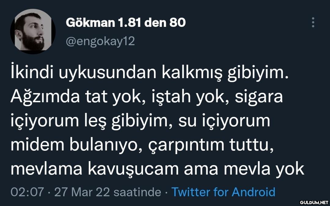 Gökman 1.81 den 80...