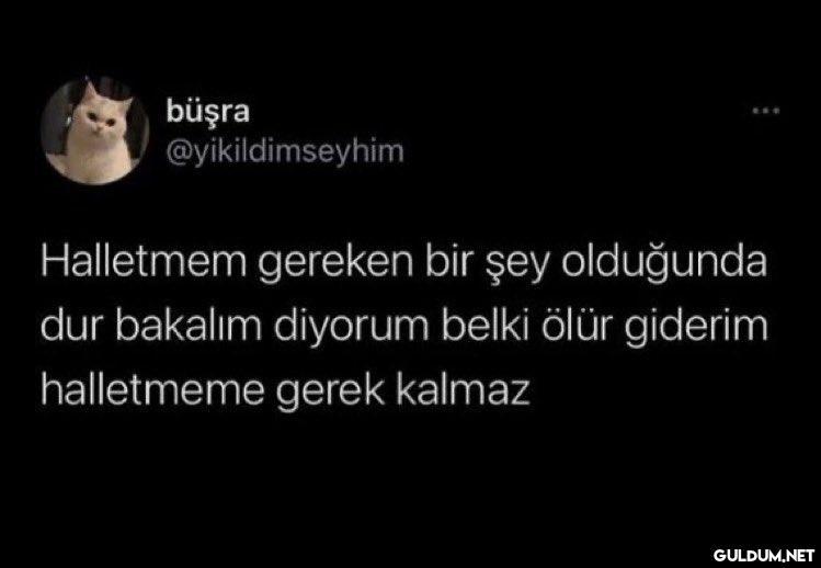 https://t.co/rTIyXZmeZM  ...
