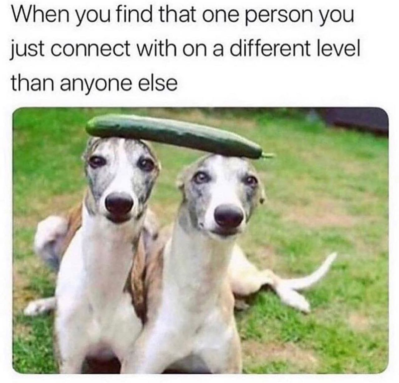 @happy.sisyphos 🥒  Kaynak