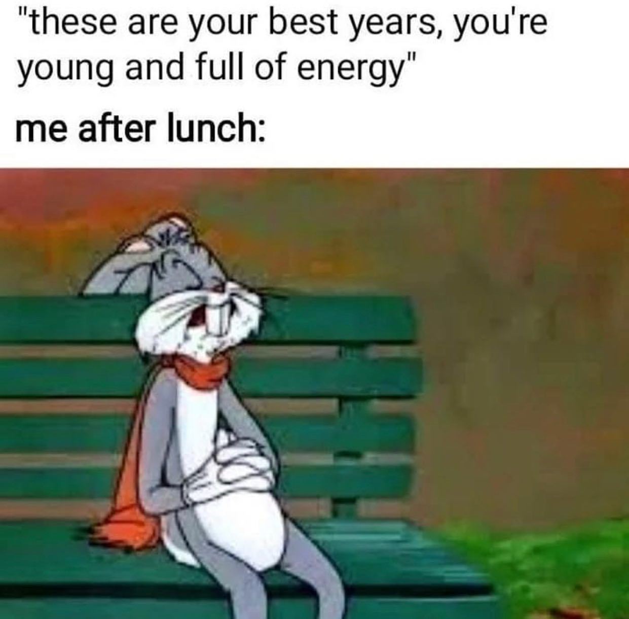 @dont.happy.lol 🥕  Kaynak