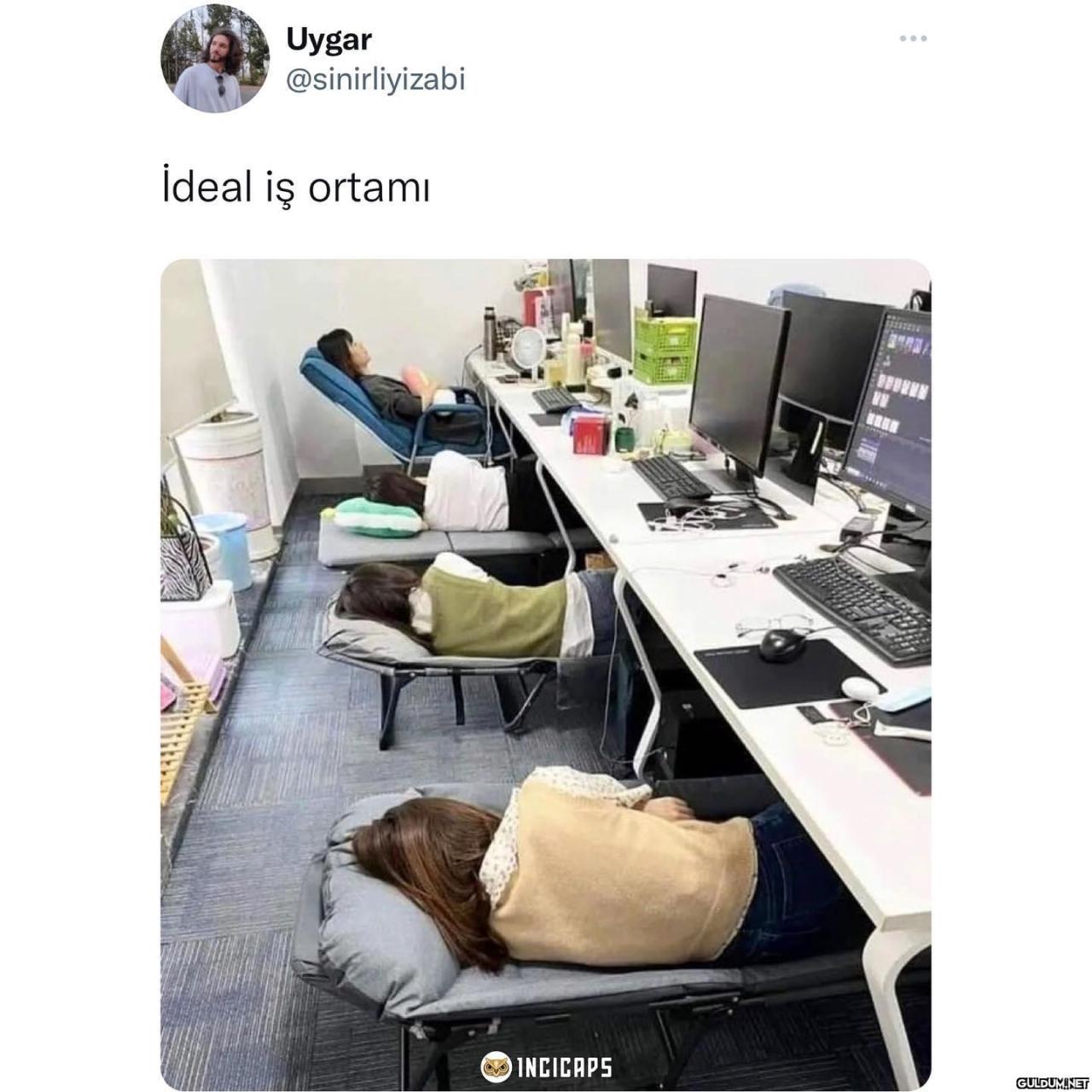 10/10 hareket   Uygar...