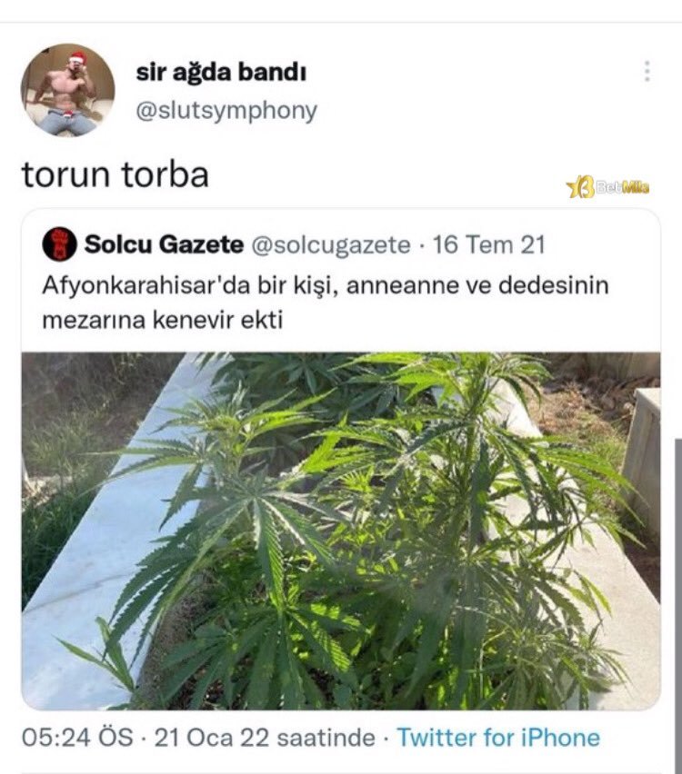 Günaydın...
