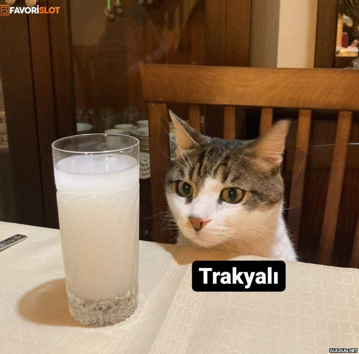Ramazan'da içmicez tutcez...