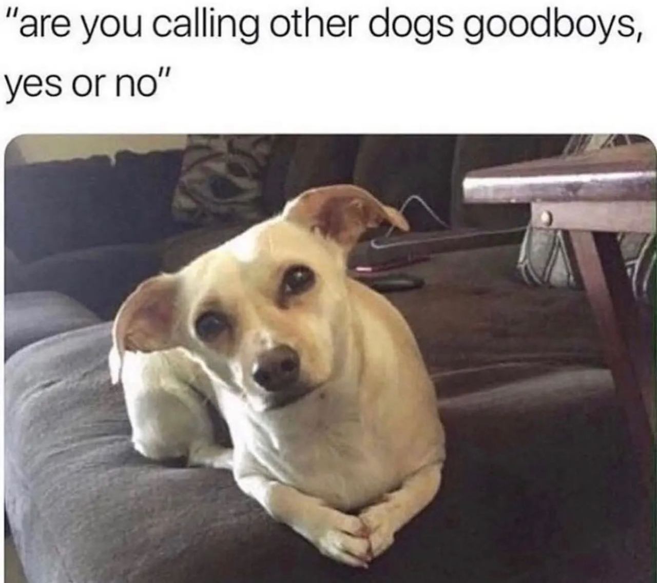 @happy.sisyphos 🐶  Kaynak