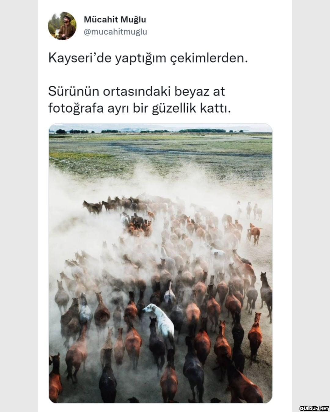 (Kaydırmalı)   Mücahit...