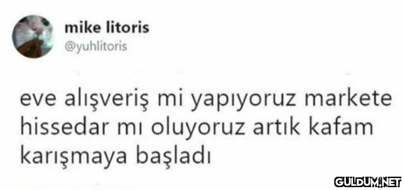 mike litoris @yuhlitoris...