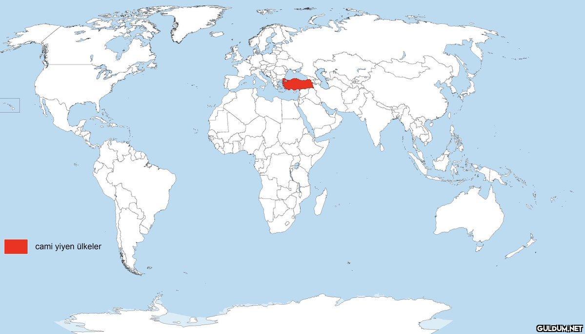 cami yiyen ülkeler    Kaynak