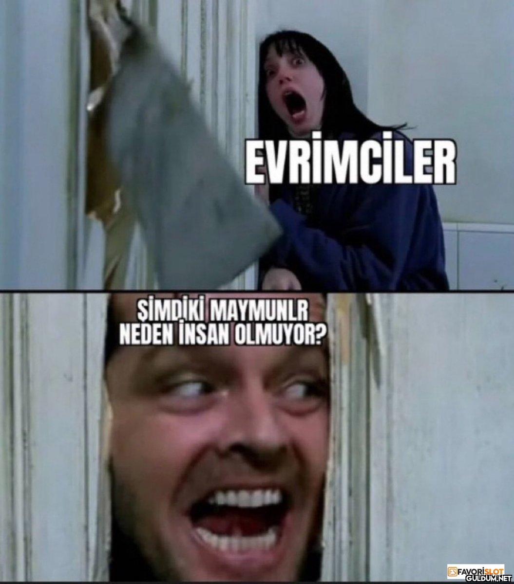 EVRİMCİLER ŞİMDİKİ...