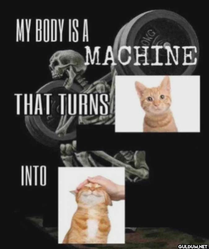 MY BODY IS A OKG MACHINE...