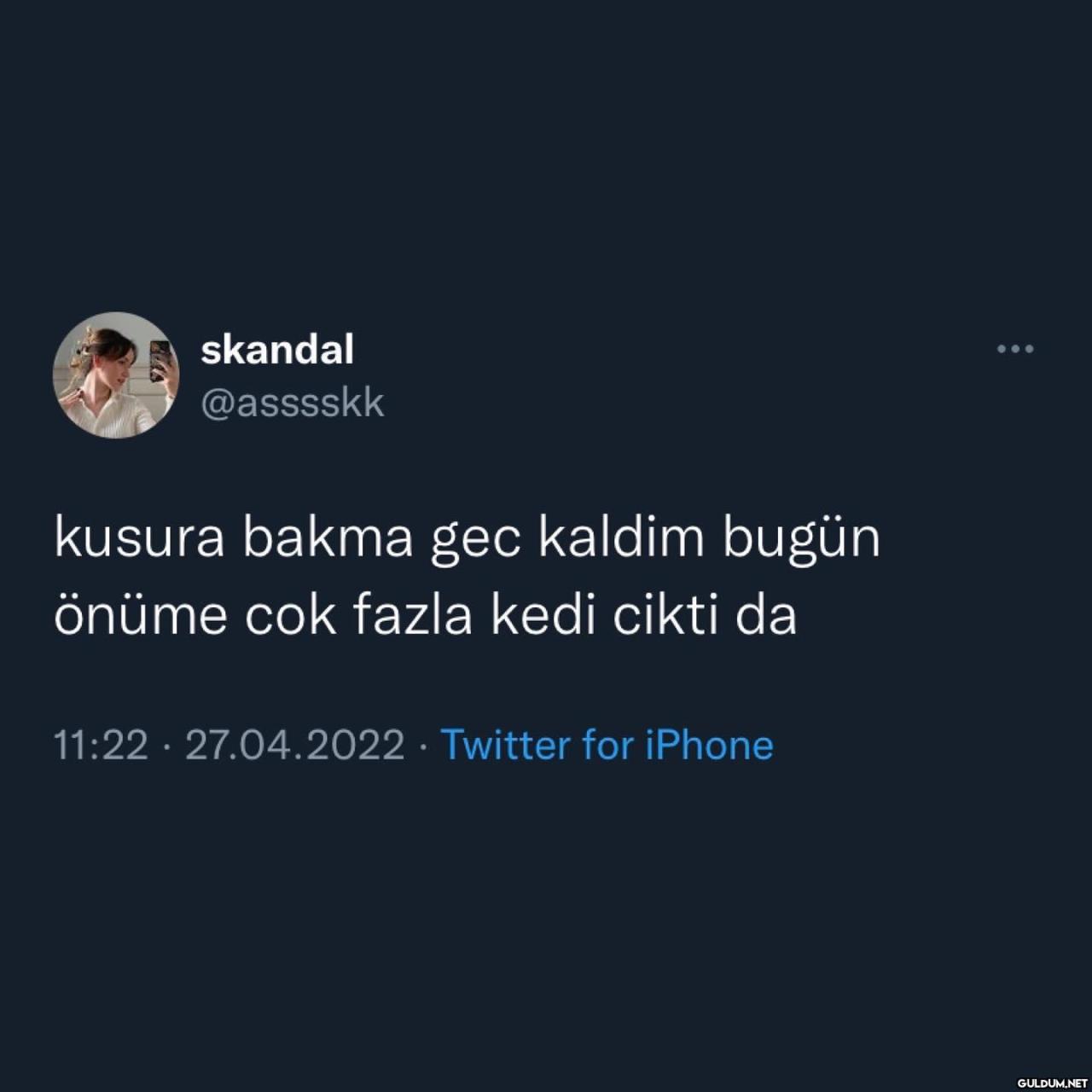 karşıma çıkan her kediyi...