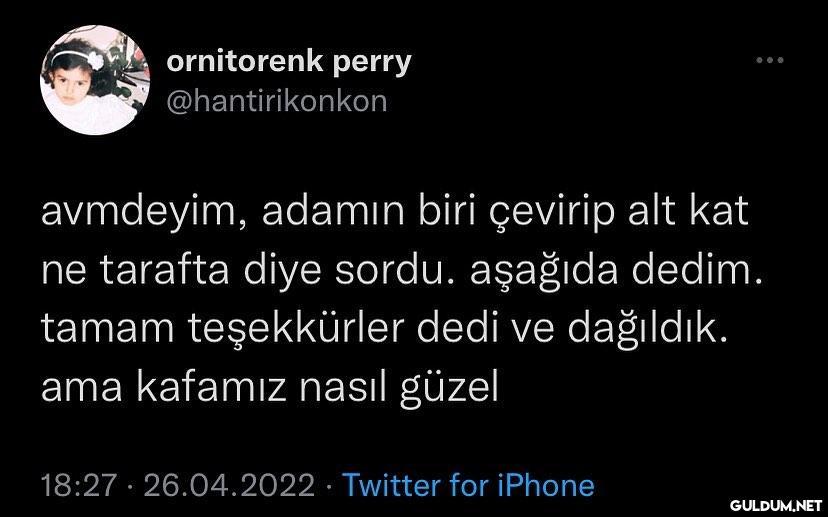 ornitorenk perry...