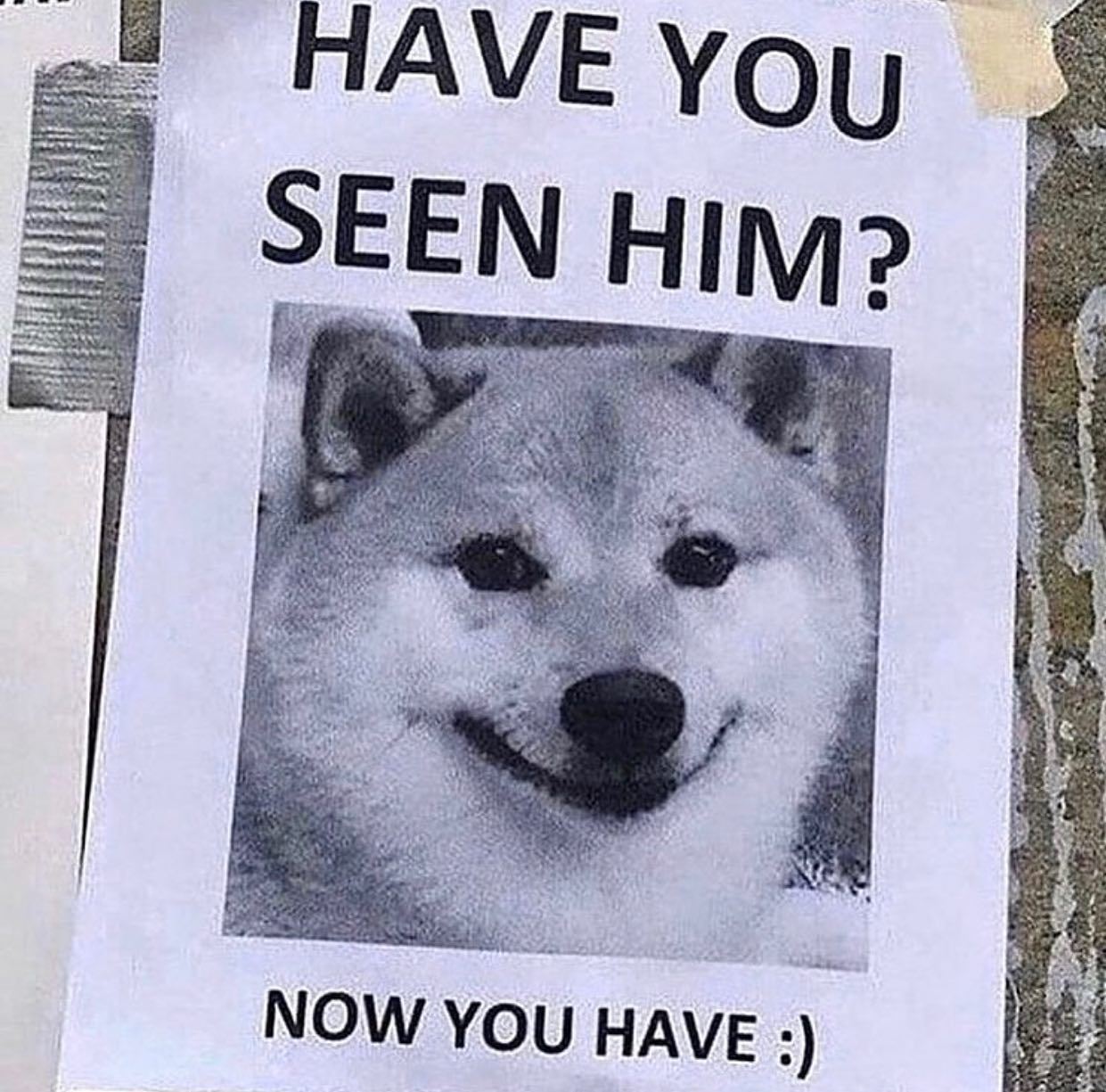 @thingsiwantok 🐶  Kaynak