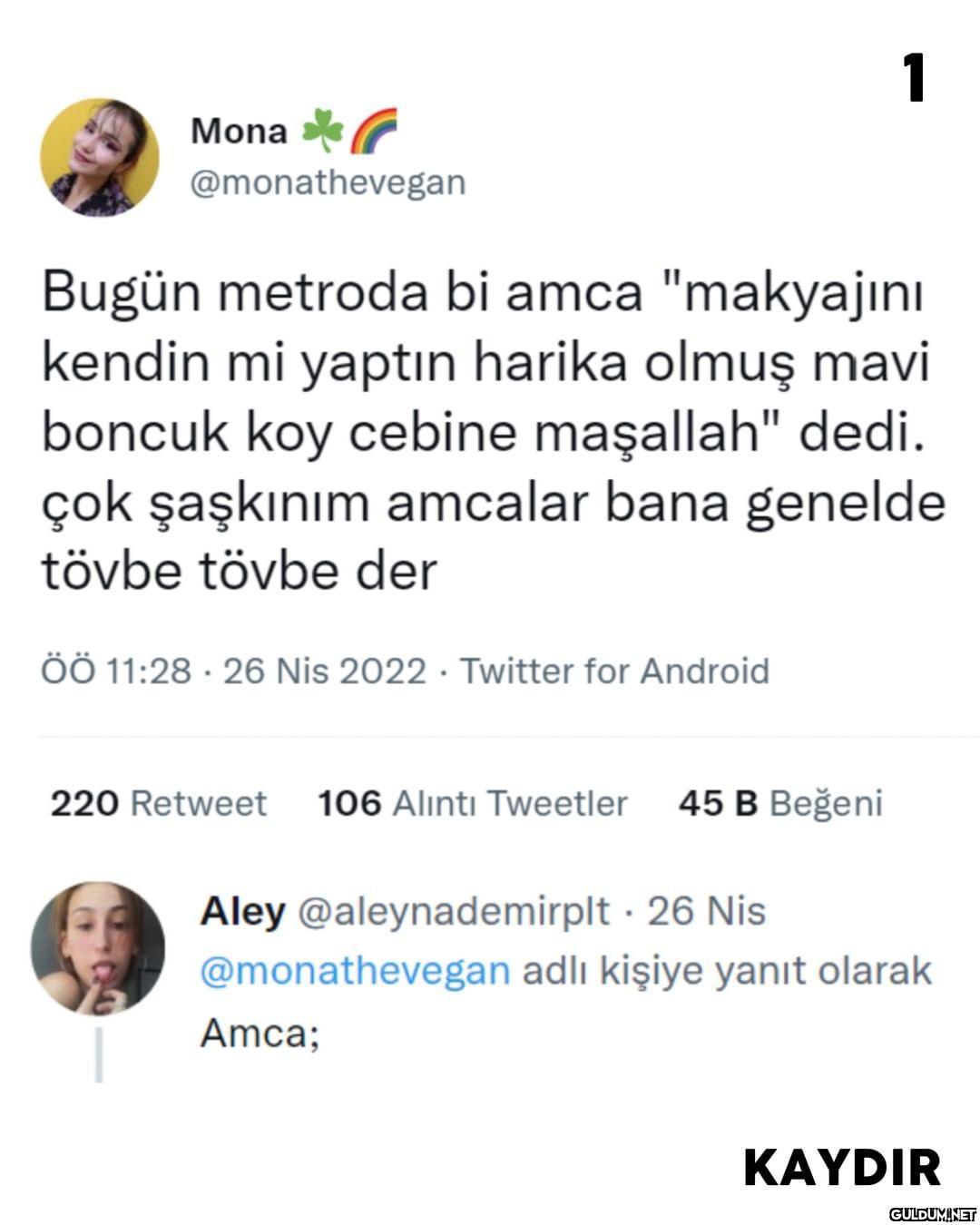 (Kaydırmalı)   1 Mona...