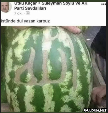 Utku Kaçar > Suleyman...