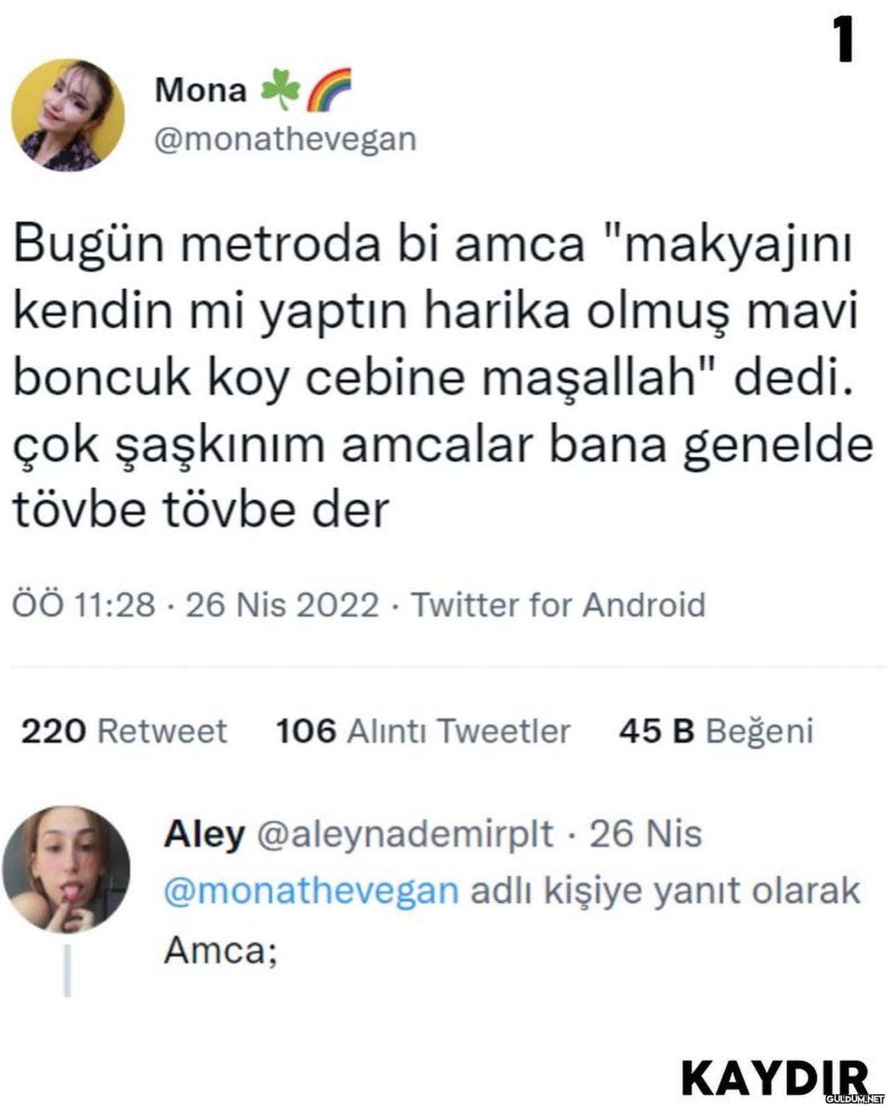 (Kaydırmalı)   1 Mona...