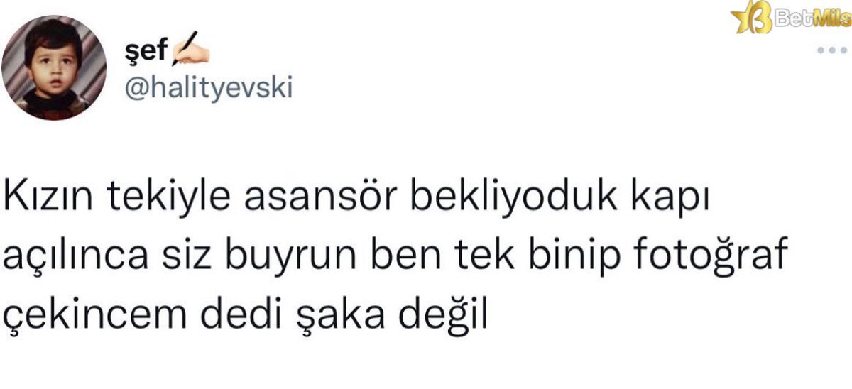 Makul?...