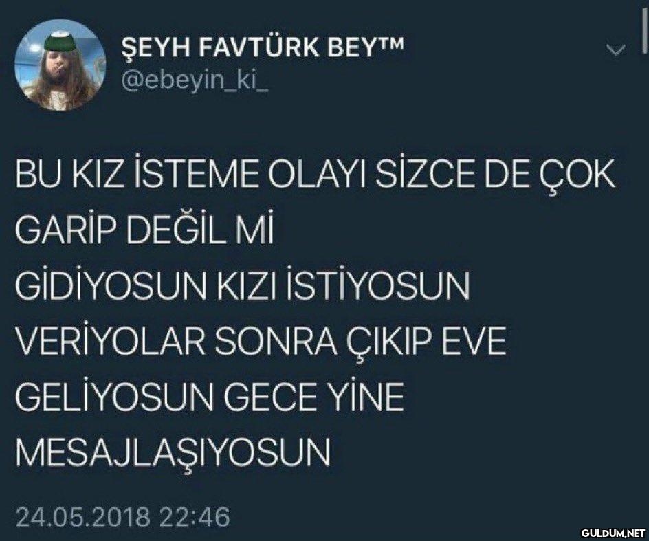 VI ŞEYH FAVTÜRK BEY™M...