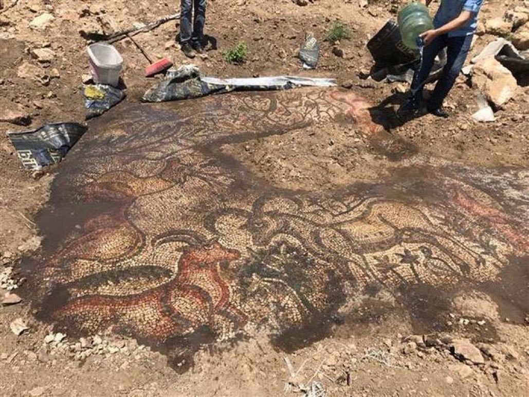 Adıyaman'da tarlada...