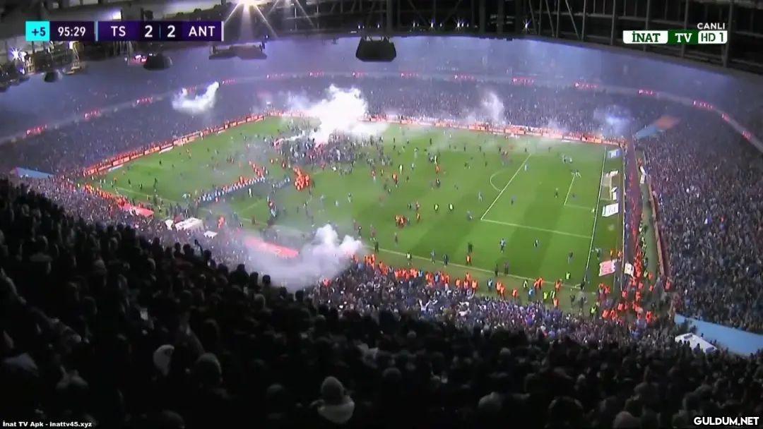 40 yılda bir görülen hamsi...